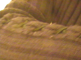 10 COGNIZIONI TEMPORALI frame000