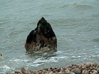 16 MATERMARE frame009