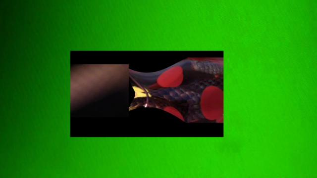 33 VIDEOPTICALART 70 000