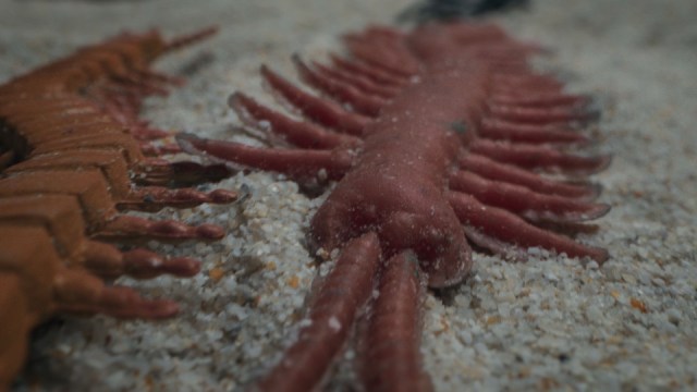 A055_08081855_C036-2.braw_1.52.1 - streeen