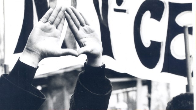 el entusiasmo - foto (3)