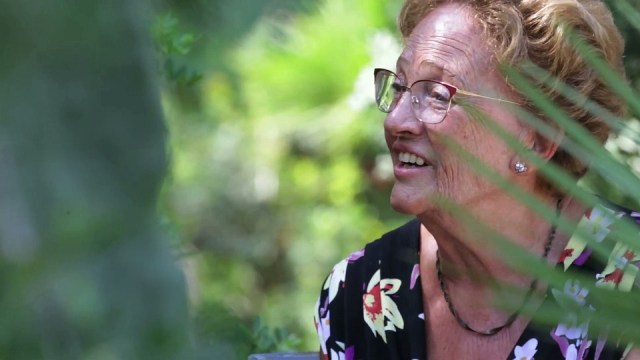 fertilia istriana 3-19