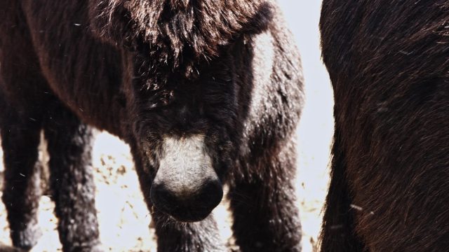 Giorni_Opere00010919