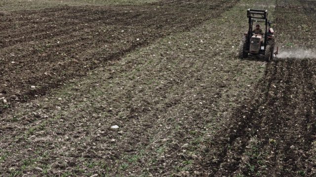 Giorni_Opere00030677