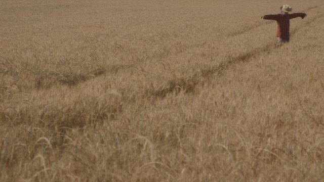 il-contrario-di-vita_03