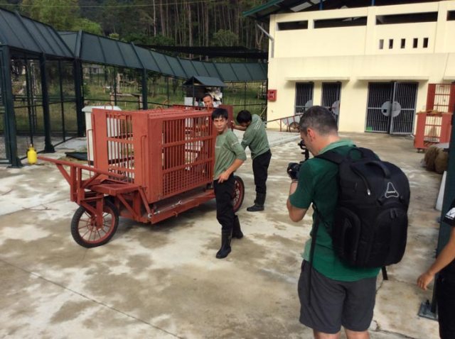 Moonbears-on-Planet-Earth-image-gallery-4