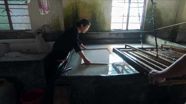 One leaf one world 05