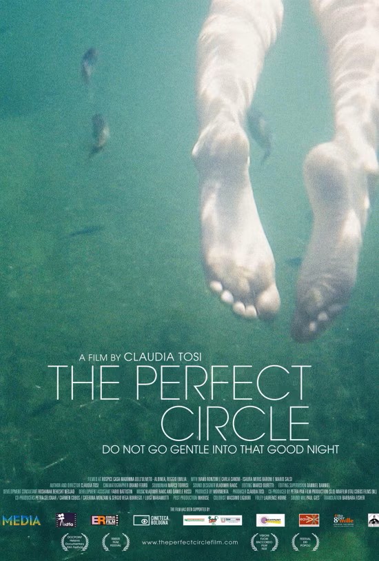 perfect circle_locandina