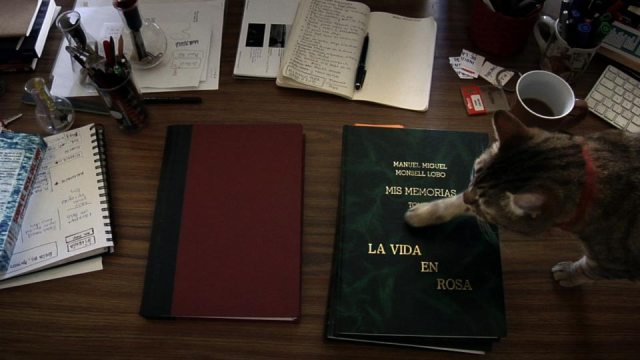 Pilar-Monsell_af815-still-02