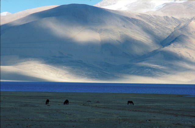 Prigionieri della libertà 01