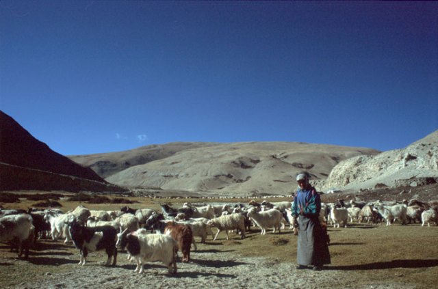 Prigionieri della libertà 04