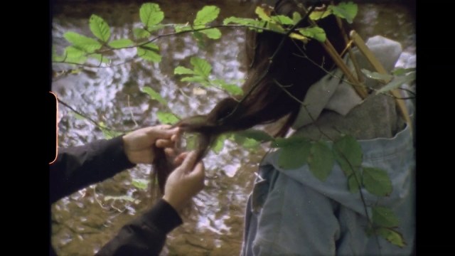 Rerooting the Post Collective, THE POST (FILM) COLLECTIVE, 2022_STREEEN_2