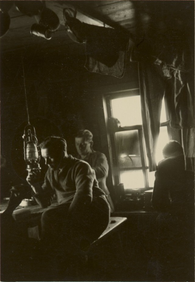 STEINJU0000005FSP811 - streeen