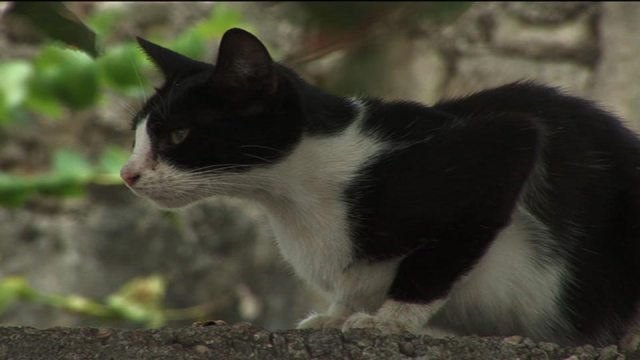 The future is written