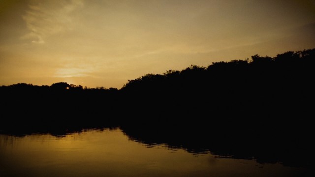 Tornare all'anormalita_brasil 2