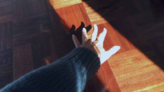 Tornare all'anormalita_ecuador 1